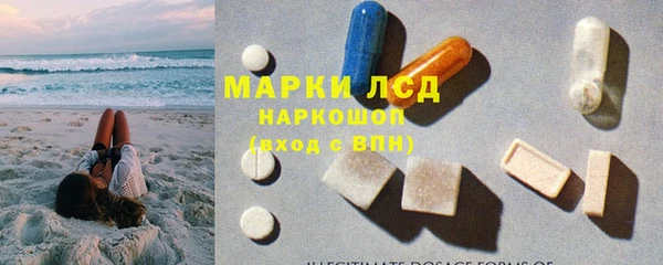 твердый Артём