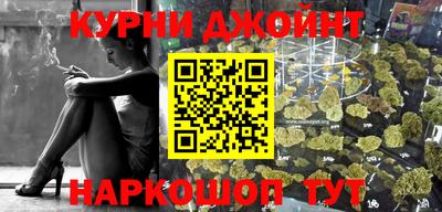 mdpv Гатчина
