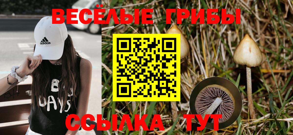 Галлюциногенные грибы ЛСД  Галлюциногенные грибы GOLDEN TEACHER  Зеленодольск 