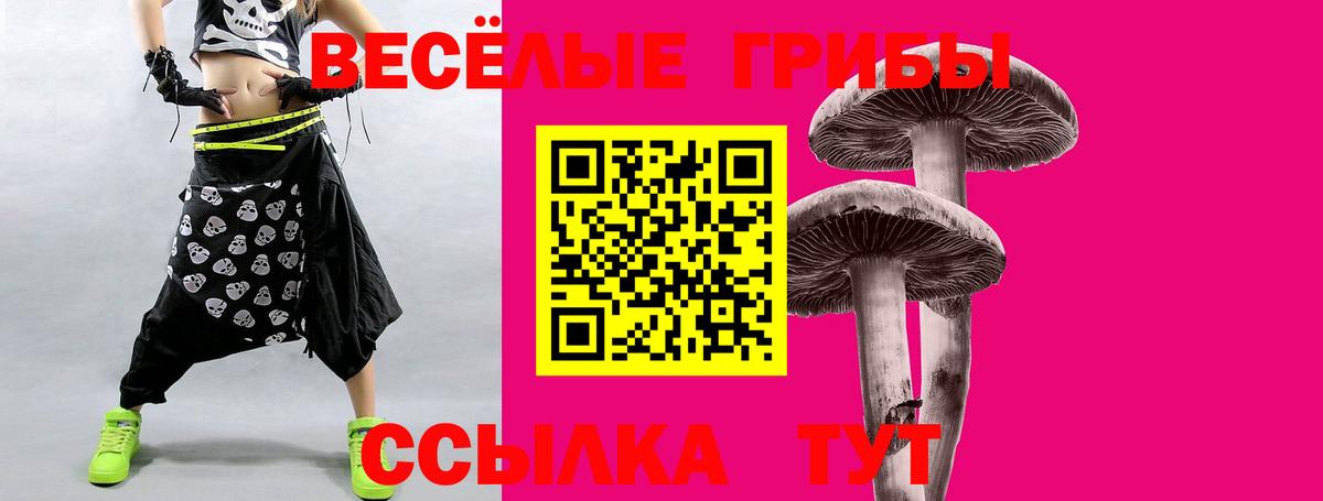 Зеленодольск  Галлюциногенные грибы Magic Shrooms  Вход с VPN 